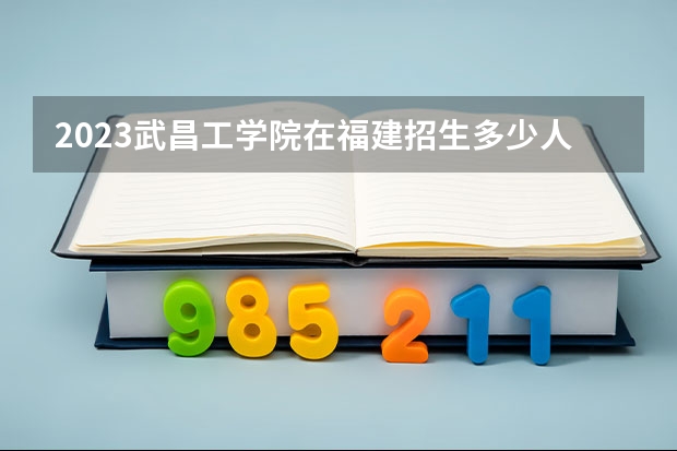 2023武昌工学院在福建招生多少人