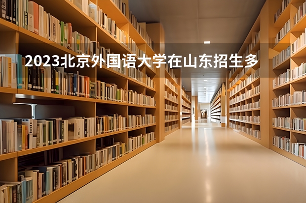 2023北京外国语大学在山东招生多少人