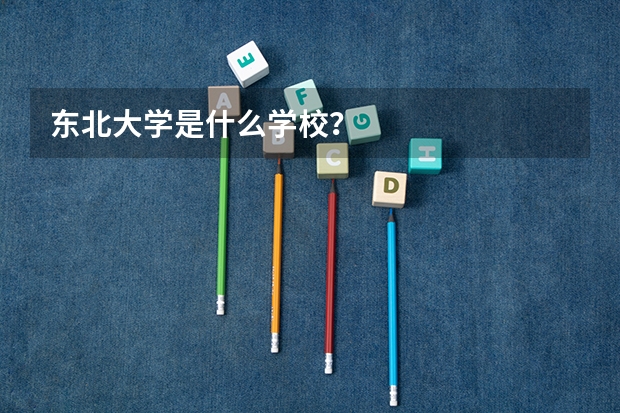 东北大学是什么学校？