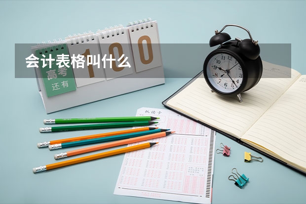 会计表格叫什么