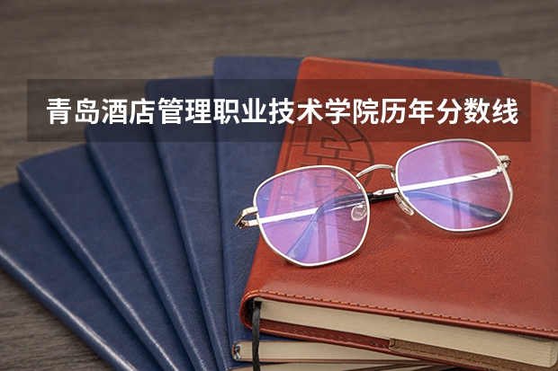青岛酒店管理职业技术学院历年分数线多少?山东文科考生。。谢谢