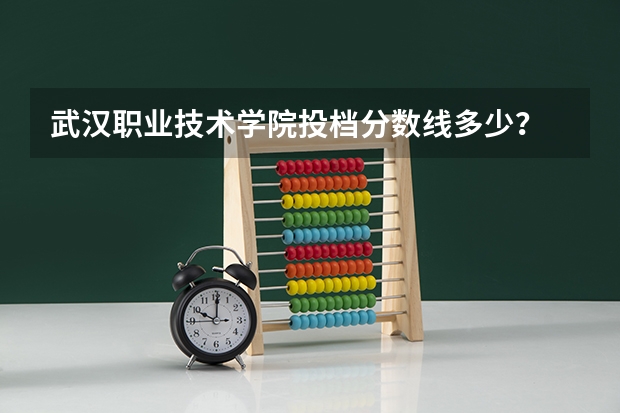 武汉职业技术学院投档分数线多少？