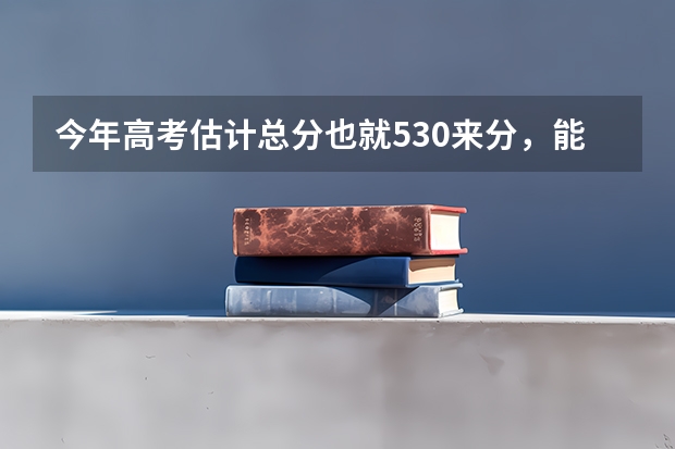今年高考估计总分也就530来分,能上什么大学啊...我山东的..