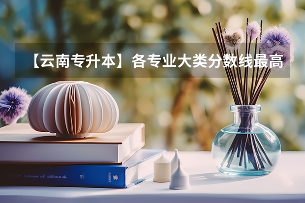 【云南专升本】各专业大类分数线最高的院校盘点！ 曲靖师范学院录取分数线