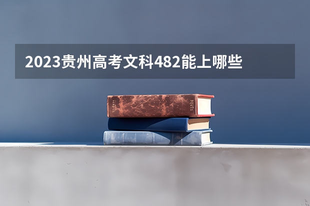 2023贵州高考文科482能上哪些大学 