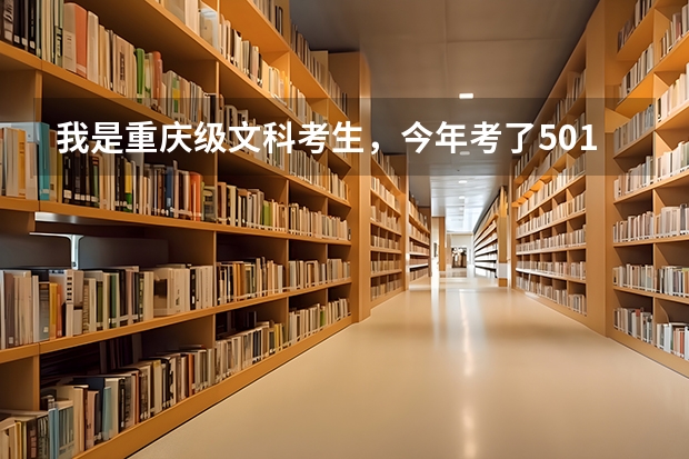 我是重庆级文科考生，今年考了501分，离重庆二本分数线差9分。请问能上被四川锦城学院录取吗？