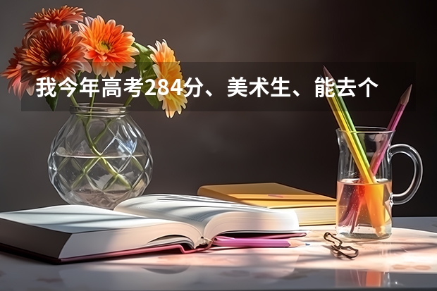 我今年高考284分、美术生、能去个什么样的