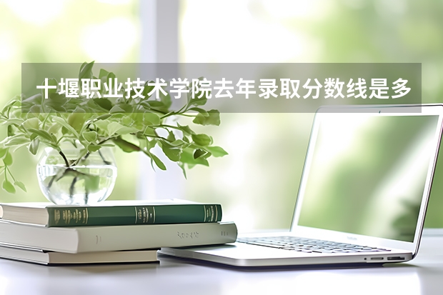 十堰职业技术学院去年录取分数线是多少