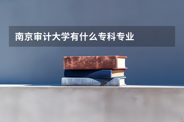 南京审计大学有什么专科专业