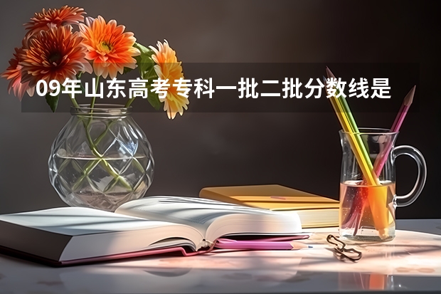 09年山东高考专科一批二批分数线是多少？