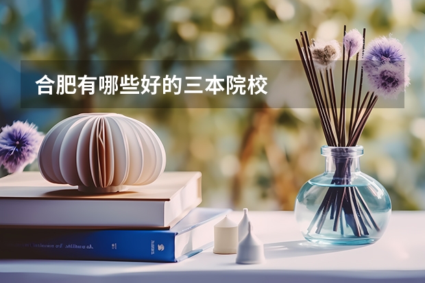 合肥有哪些好的三本院校