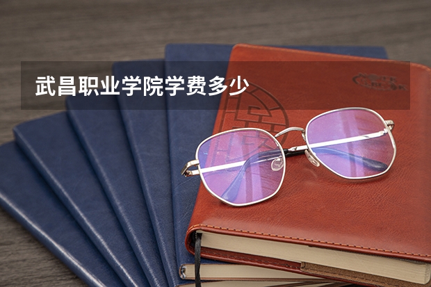 武昌职业学院学费多少