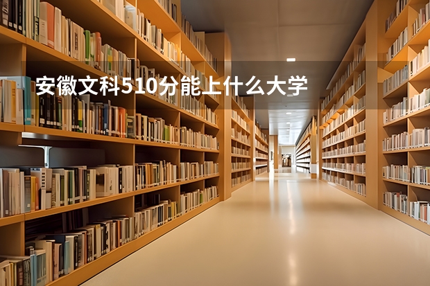 安徽文科510分能上什么大学