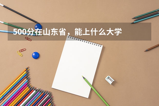 500分在山东省，能上什么大学