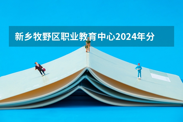新乡牧野区职业教育中心2024年分数线（新乡学院专科录取分数线）