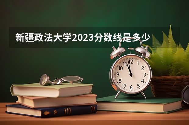 新疆政法大学2023分数线是多少