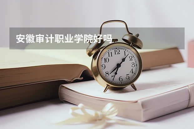 安徽审计职业学院好吗