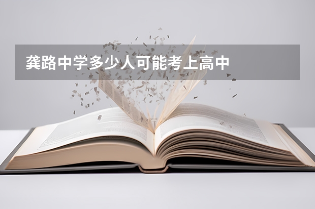 龚路中学多少人可能考上高中