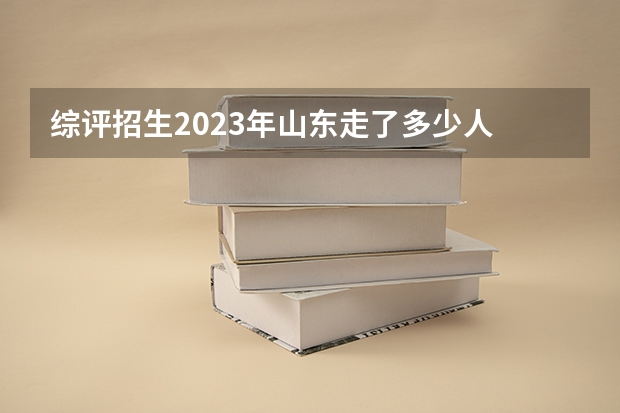 综评招生2023年山东走了多少人