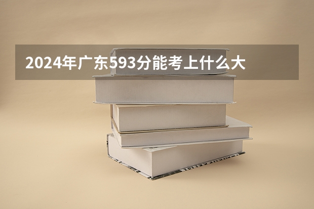 2024年广东593分能考上什么大学？