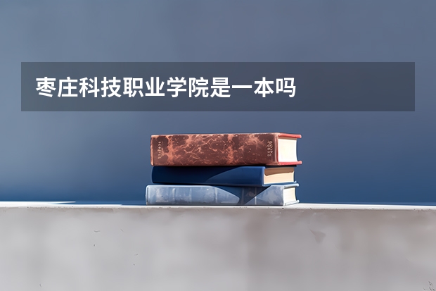 枣庄科技职业学院是一本吗