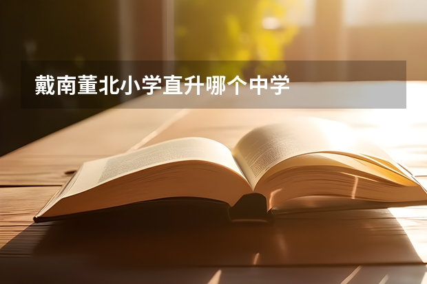 戴南董北小学直升哪个中学