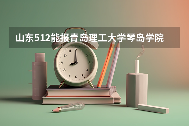 山东512能报青岛理工大学琴岛学院吗？谢谢