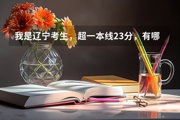 我是辽宁考生，超一本线23分，有哪些大学有师范专业，能具体一些吗