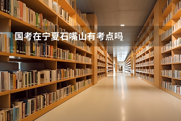 国考在宁夏石嘴山有考点吗