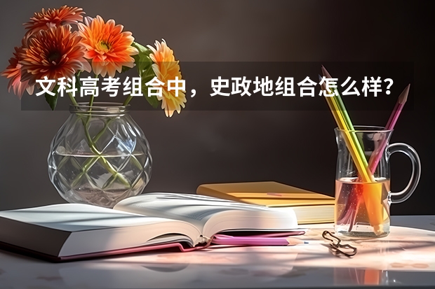 文科高考组合中，史政地组合怎么样？