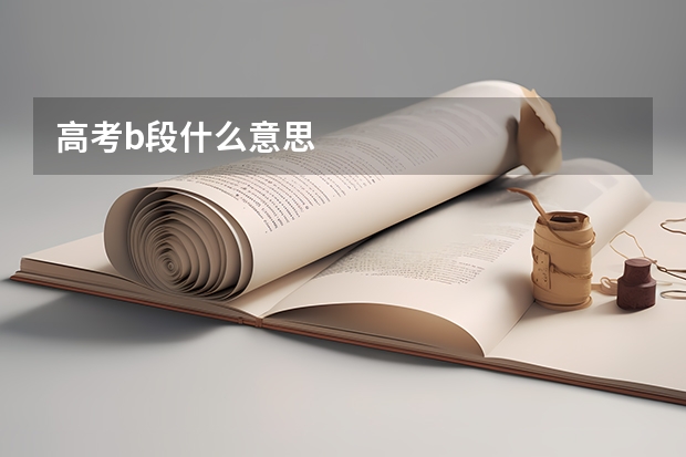 高考b段什么意思