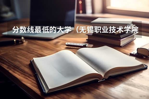 分数线最低的大学（无锡职业技术学院录取分数线无锡大专有那几所学校）