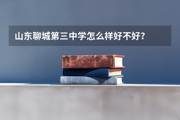 山东聊城第三中学怎么样好不好？