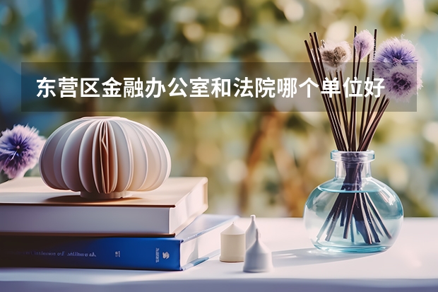 东营区金融办公室和法院哪个单位好