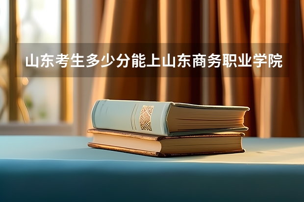 山东考生多少分能上山东商务职业学院