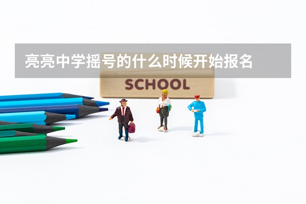 亮亮中学摇号的什么时候开始报名