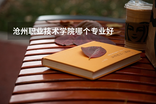 沧州职业技术学院哪个专业好