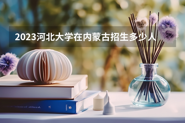 2023河北大学在内蒙古招生多少人