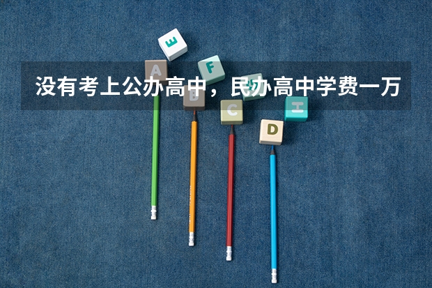 没有考上公办高中，民办高中学费一万六，有必要上吗？