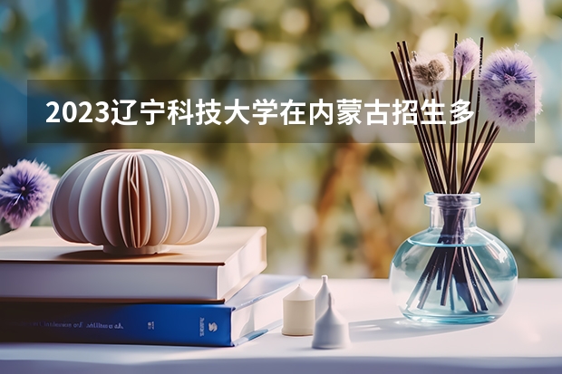 2023辽宁科技大学在内蒙古招生多少人