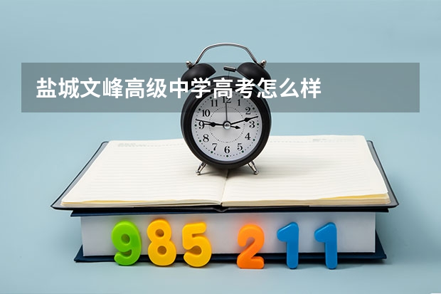 盐城文峰高级中学高考怎么样