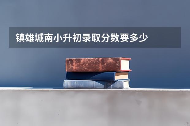 镇雄城南小升初录取分数要多少