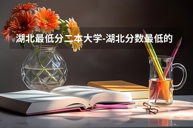 湖北最低分二本大学-湖北分数最低的本科大学公办（物理历史）（湖北美术学院分数线）