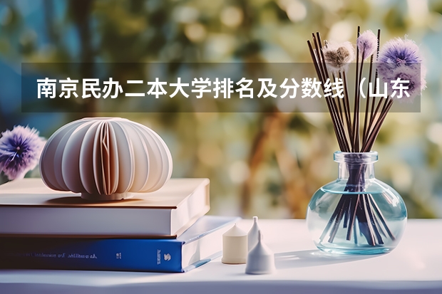 南京民办二本大学排名及分数线（山东二本师范类院校及分数线）