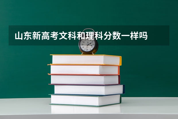 山东新高考文科和理科分数一样吗