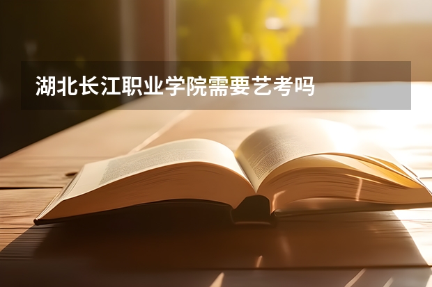 湖北长江职业学院需要艺考吗