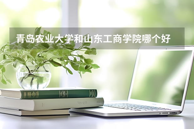 青岛农业大学和山东工商学院哪个好
