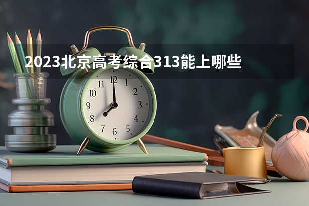 2023北京高考综合313能上哪些大学 