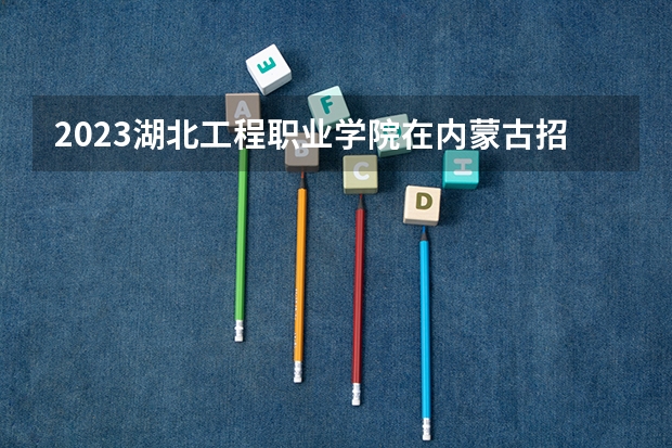 2023湖北工程职业学院在内蒙古招生多少人