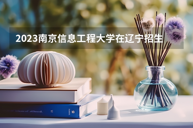 2023南京信息工程大学在辽宁招生多少人